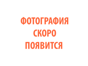 Фото 59 - Горелка TECH MS 40.